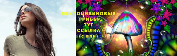 МДПВ Белокуриха