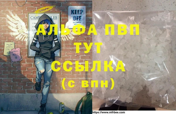СК Чита