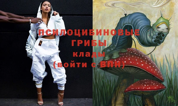 МДПВ Белокуриха