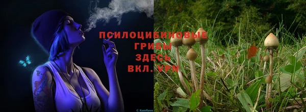 твердый Баксан