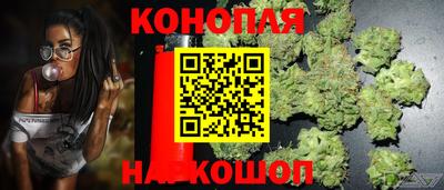 Альфа ПВП Боровичи