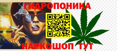 Альфа ПВП Боровичи