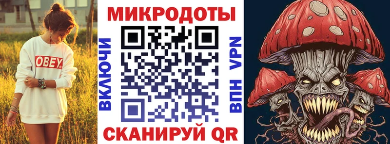 где можно купить   Благодарный  Псилоцибиновые грибы Cubensis 