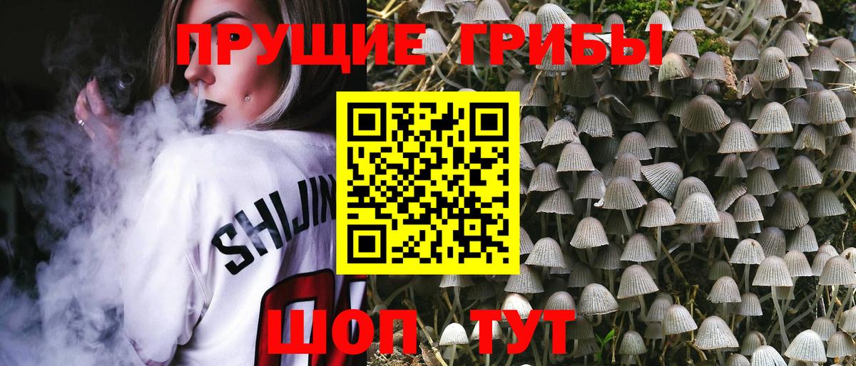 Псилоцибиновые грибы Cubensis Благодарный