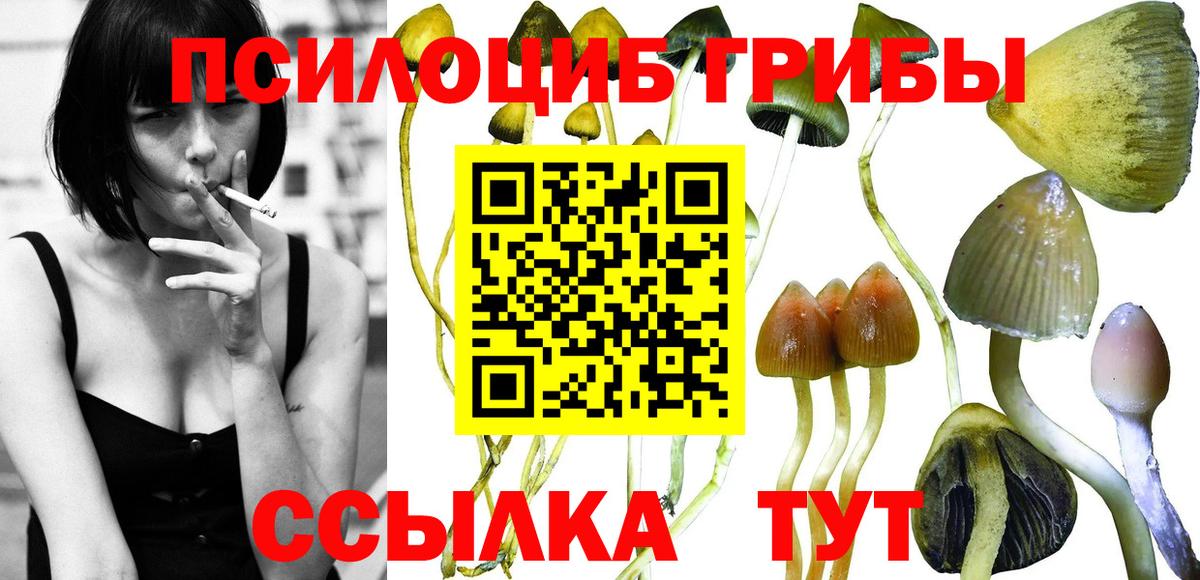 Псилоцибиновые грибы MAGIC MUSHROOMS  Вход с VPN  Благодарный  Псилоцибиновые грибы Psilocybine cubensis 